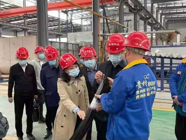 貴陽(yáng)市常委、市工商聯(lián)、廣東總商會(huì)一行到我廠調(diào)研